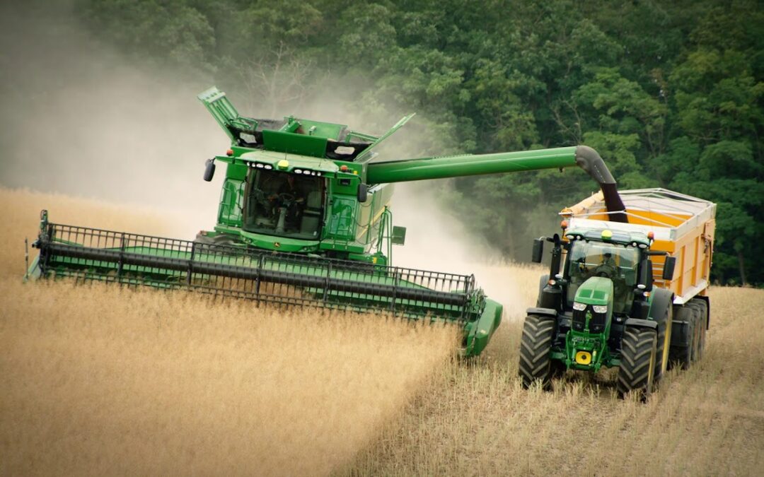 Los precios de los cereales caen en julio presionados por la buena oferta internacional
